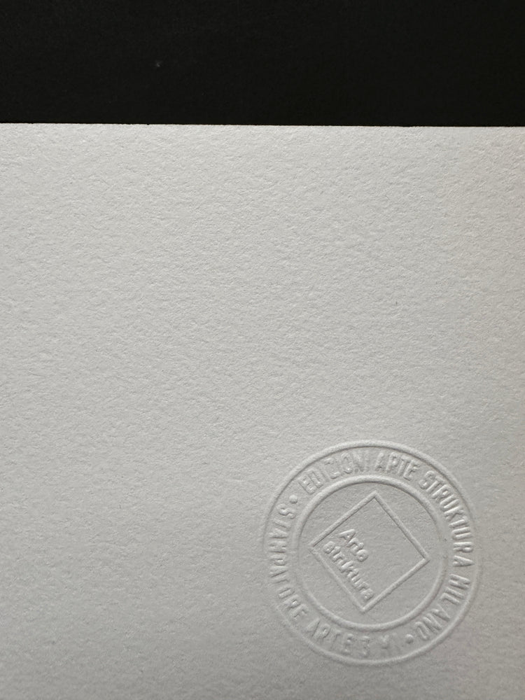 Marina Apollonio Op Art Kinetic Art Print handsigniert 1978