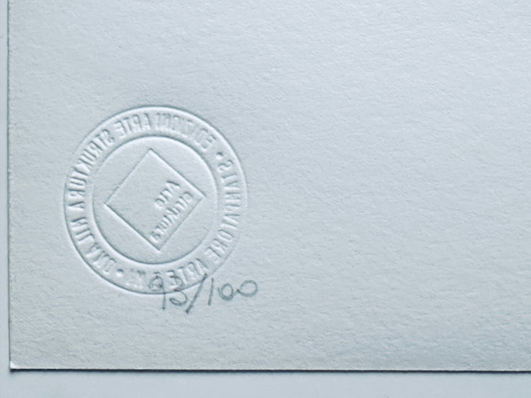 Marina Apollonio Op Art Kinetic Art Print handsigniert 1978